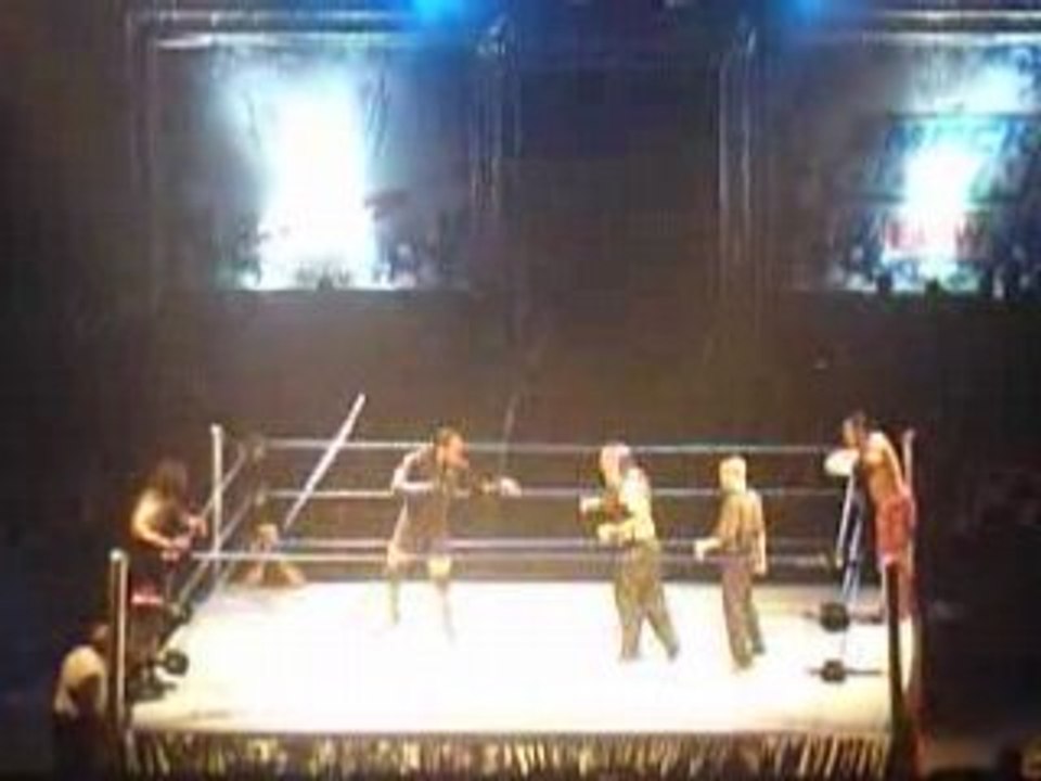 [WWE] Smackdown&ECW Survivor Series Matt Jeff Hardy MVP