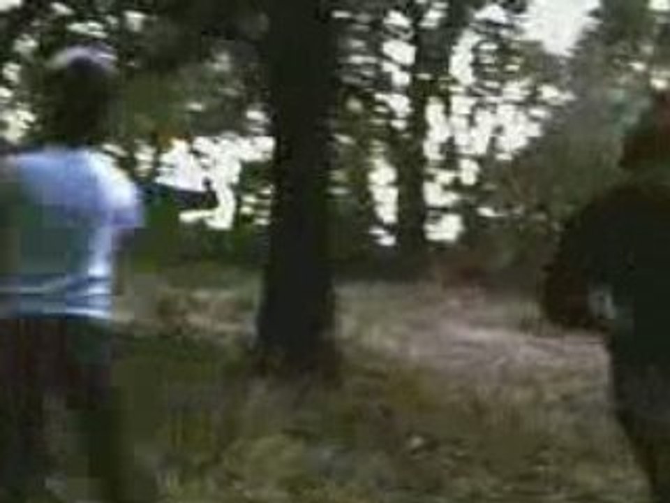 Misadventures - Tera Melos