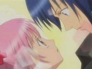 AMV love shugo chara