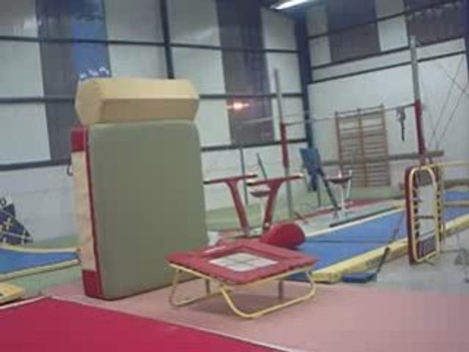 remi defi 2