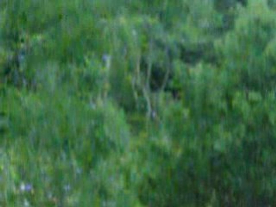 rallye bagnol  fred 309