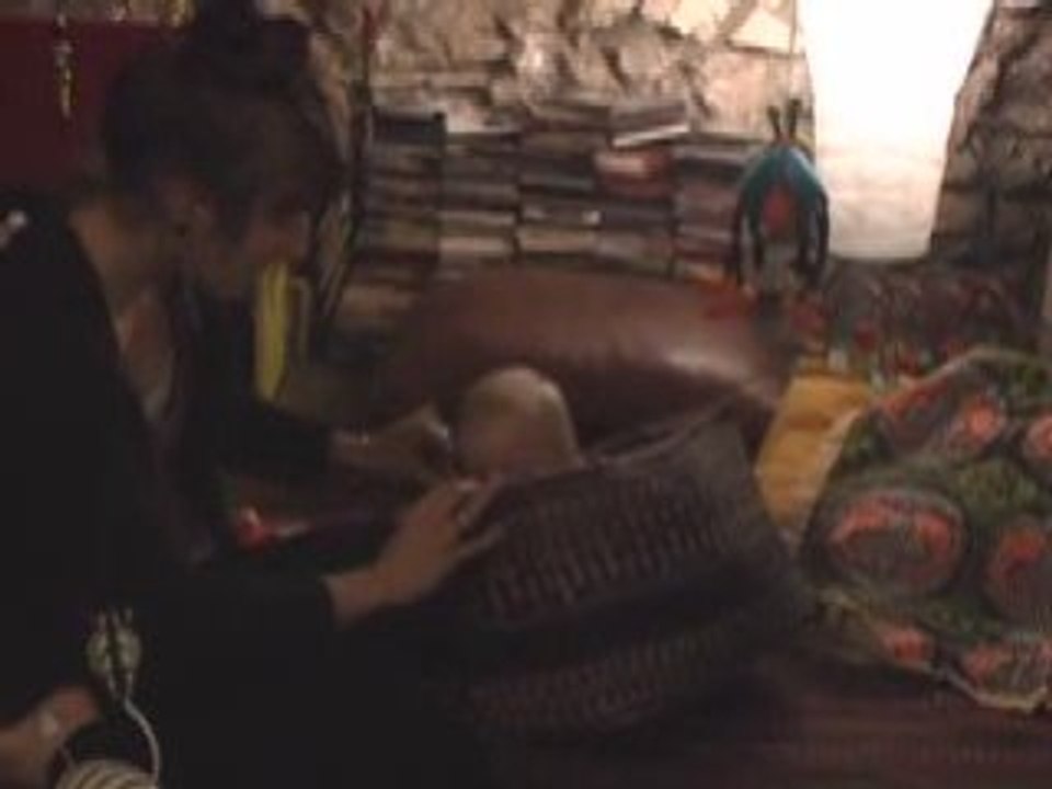 une fourmi dans un panier