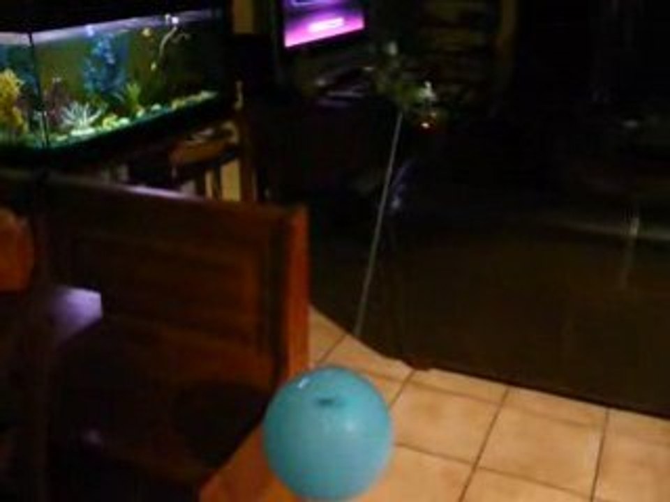 helico radiocommande precis