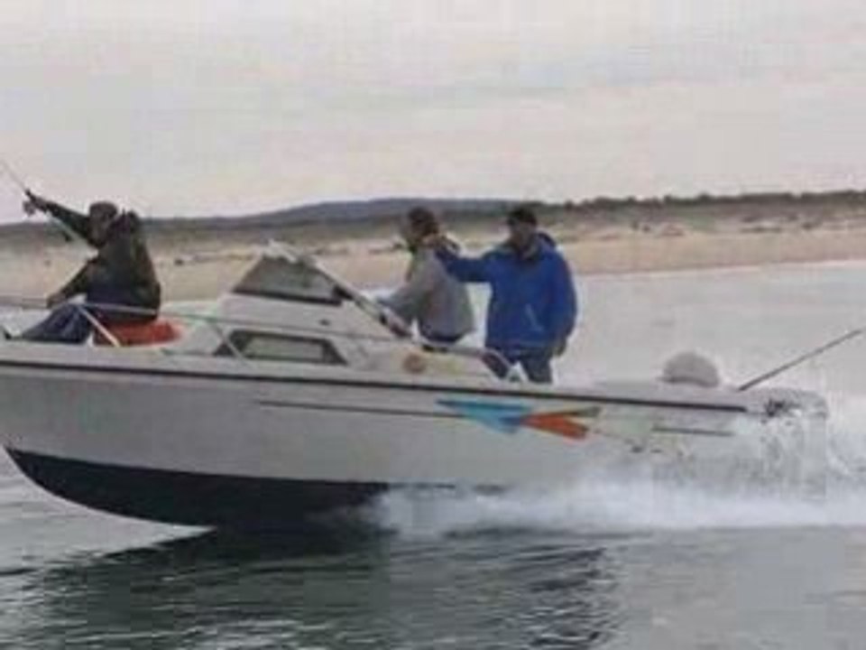 pêche du bar, loup ou loubine