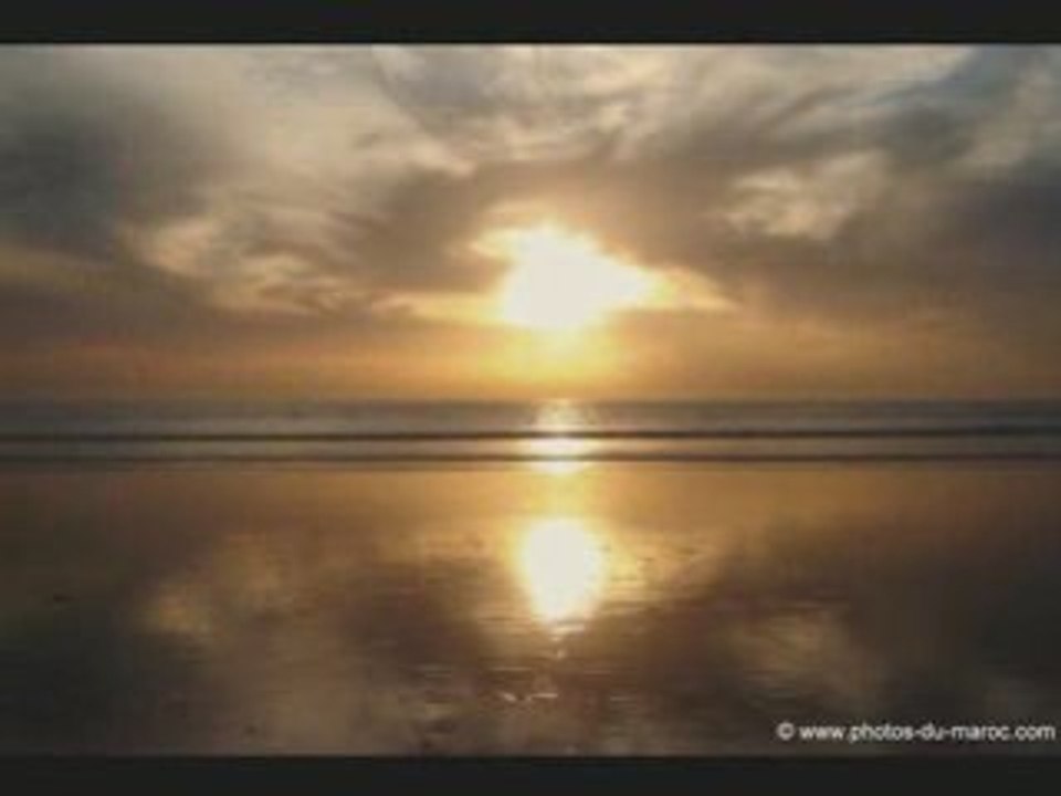 Amarg Fusion 06- Ribab 2008