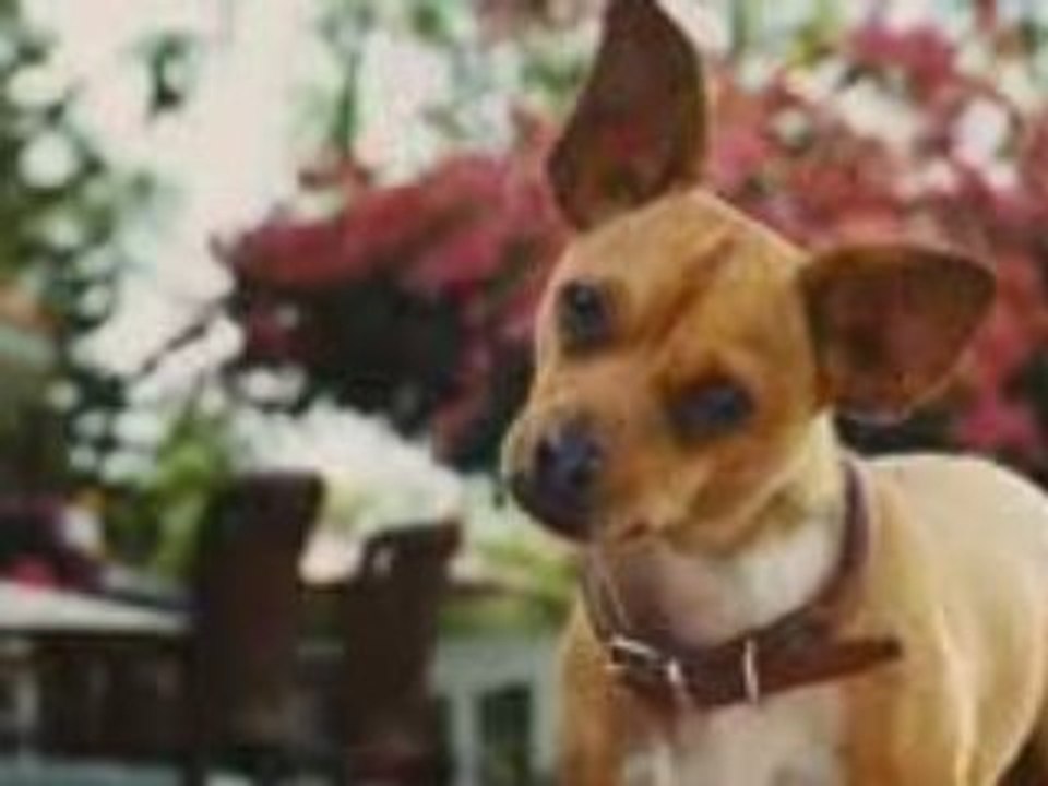 Beverly Hills Chihuahua - Bande Annonce - Trailer