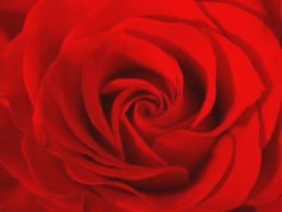 ASP - Duett (Das Minnelied der Incubi)