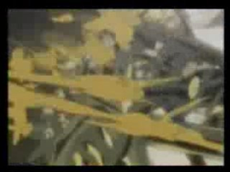 fuli culi amv acm