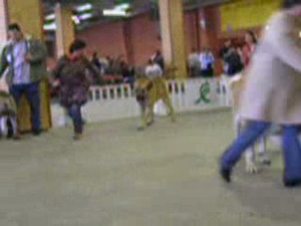 Nantes 26.10.2008 COM