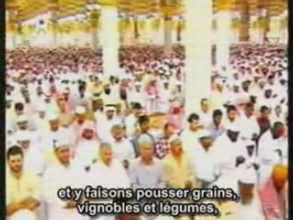 machalah budair