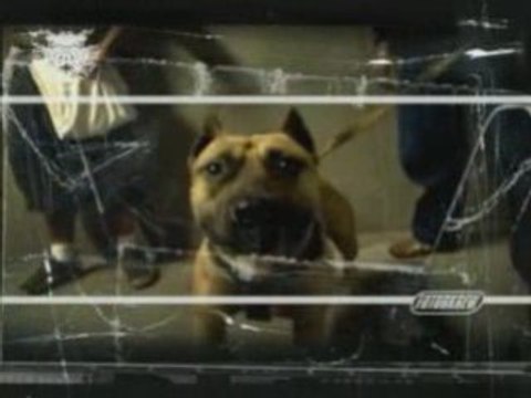 futur crew miss france 974 exclu 2008