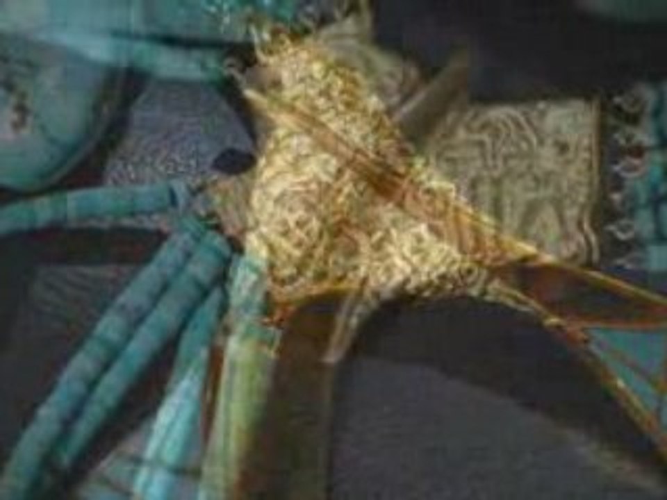 Handi Craft