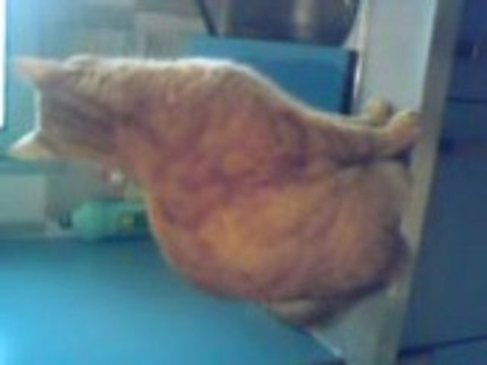 Oliver