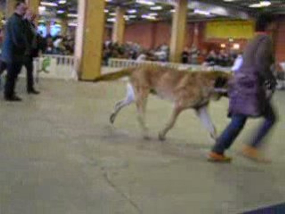 Nantes 26.10.2008 KRO