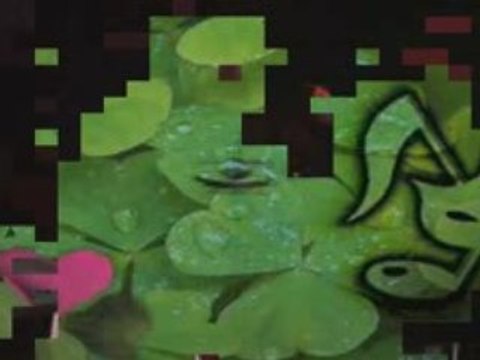 Francis Rimbert : Lyon Live 2007 - Teaser