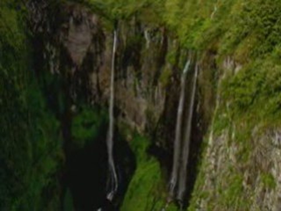 blako(974) § sir samuel reggae music