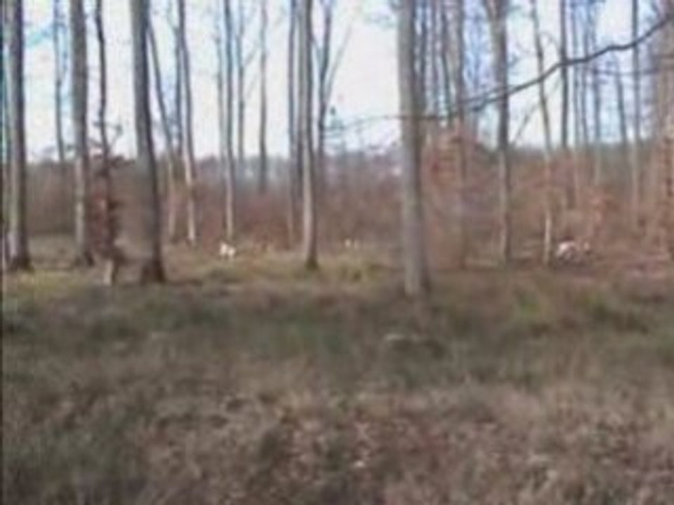 Mon vélo de chasse...