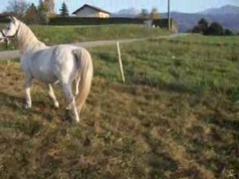 Ma grosse (L'