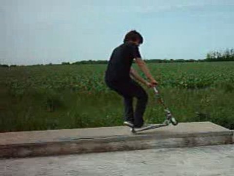 Nicolas Pillot Weeling Whip