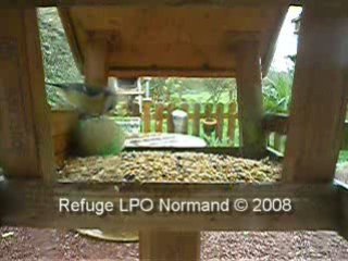 Refuge LPO Normand