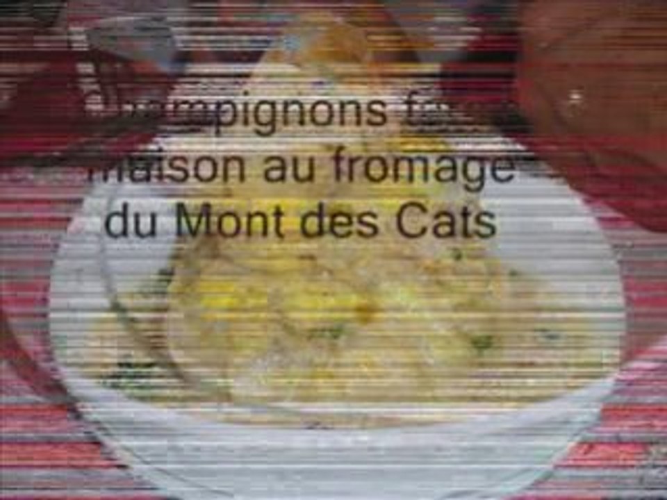 Ferme aux chansons 2