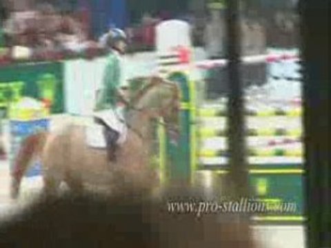 Hommage a Baloubet du Rouet