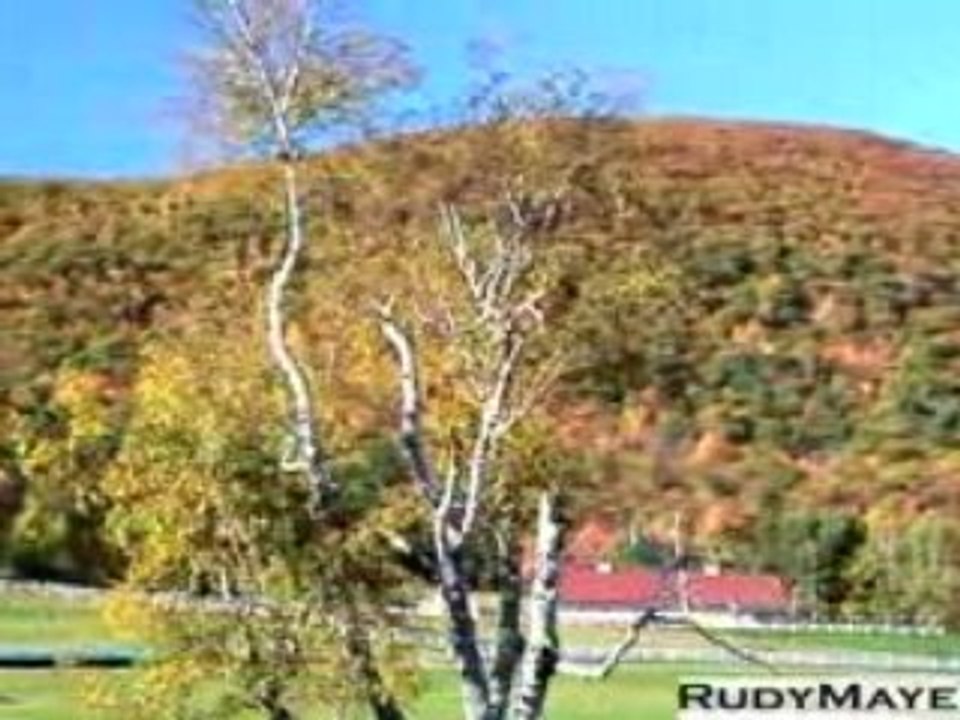 Fall in New Hampshire