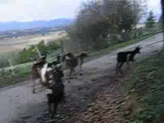 direction le champs!