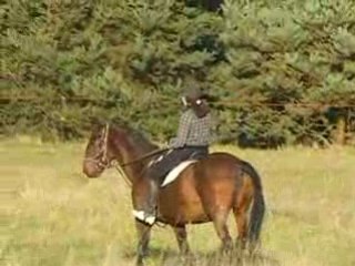 DAPILE ET MARY 2 NOVEMBRE 08