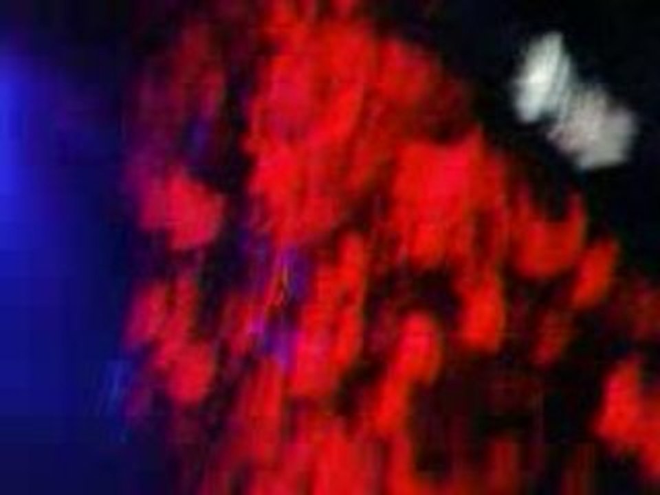 3 ans du Complex "Evil Activities"