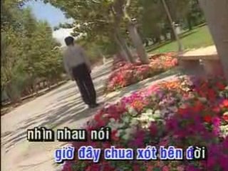 Hat hiu tinh buon - Manh Quynh