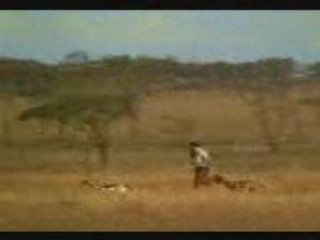 El Fahd: Brave Animals of Africa 🇲🇦