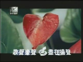 Arron yan , jade liu - ti amo