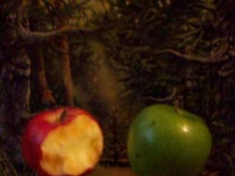 Le film conte de fée (concours ciné cinéma)