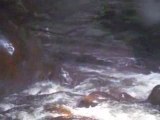 Venezuela Canaima Cavac Falls
