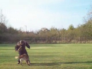 Cerdan face sur cedric