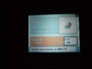 clone a pokemon diamond pearl ( not platinium )