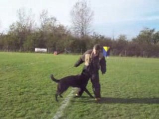 V huite face sur cedric