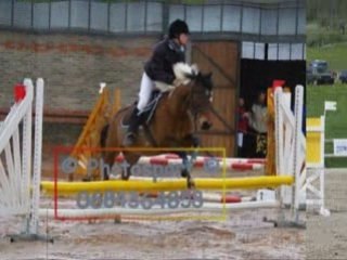 Montage loulou