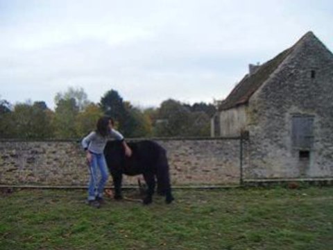 Premiers cabrés de Graffiti