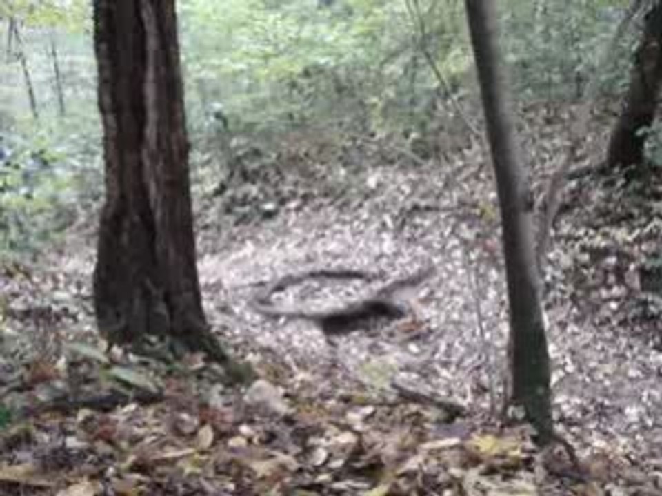 gap avec mon stumpjumper