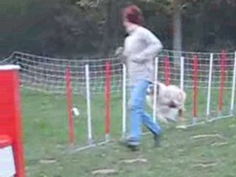 Maybe joli parcours(1)