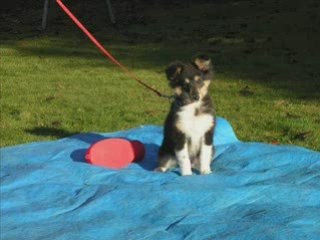 Musique d'obérythmée 2