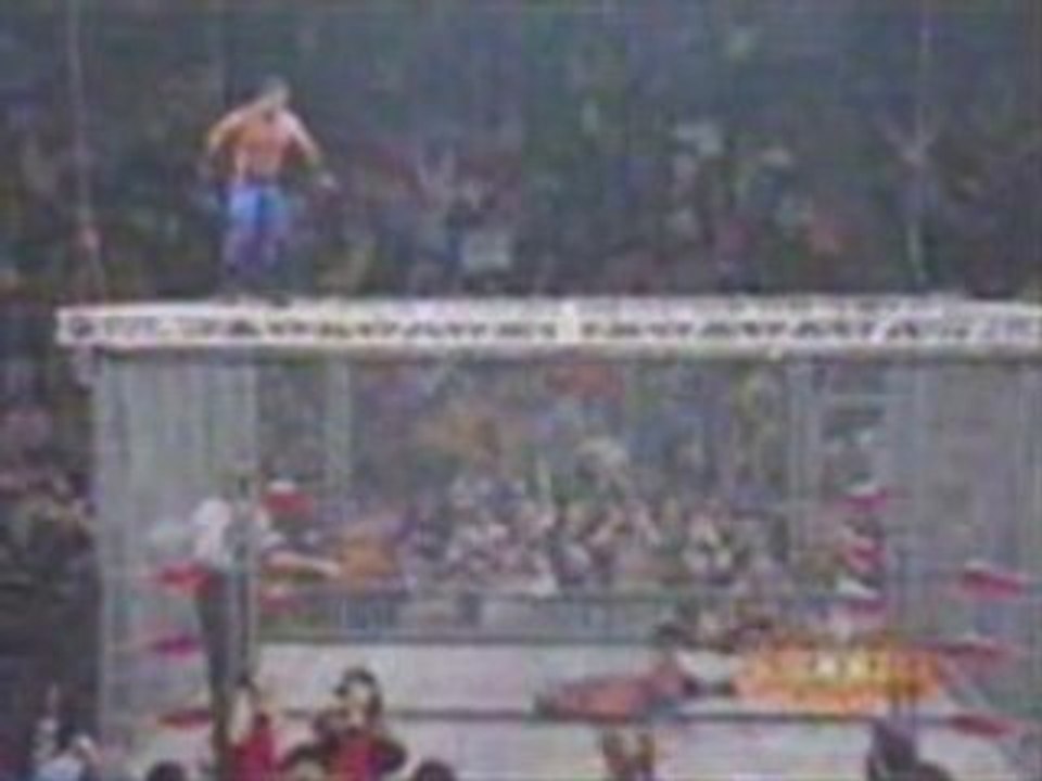 TNA, WWE  The best wrestling finisher in the world!