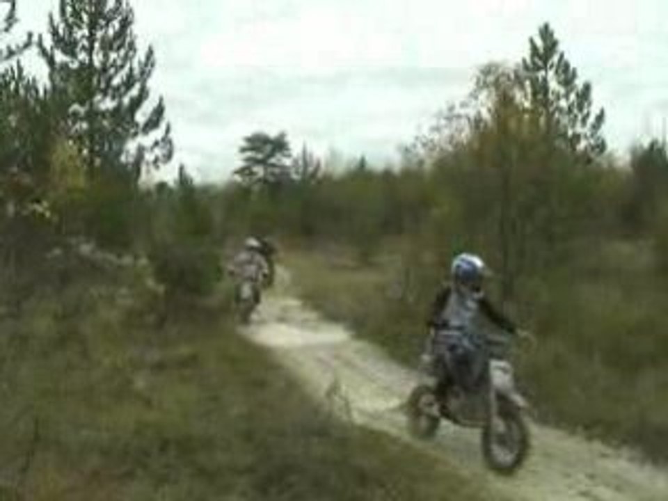 Merfy 021108 028