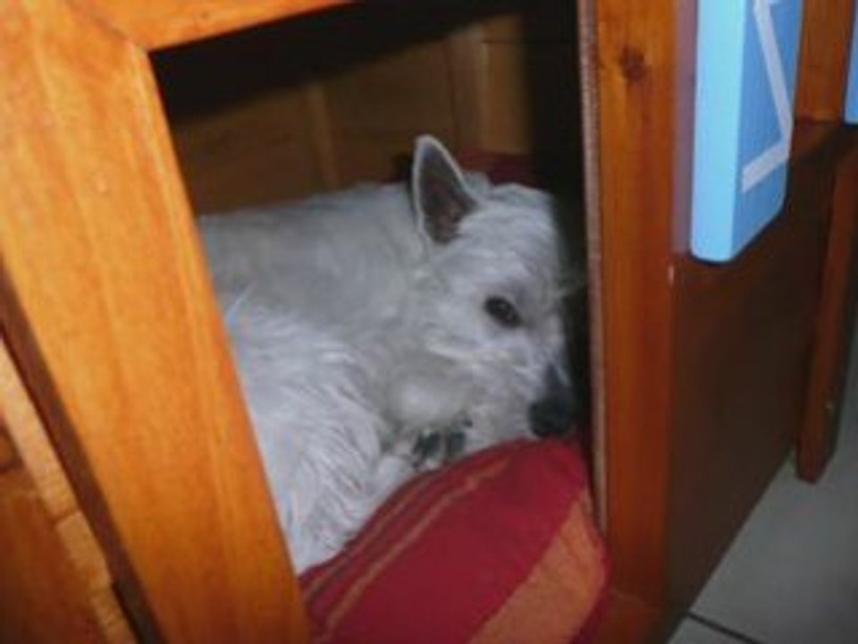 Charlie