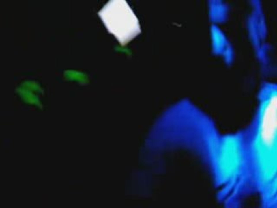 SVM_A0003.mp4