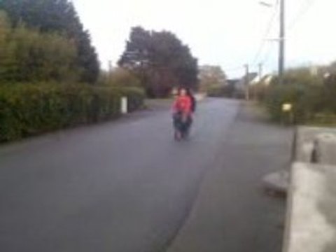 Tandem de petits vélos