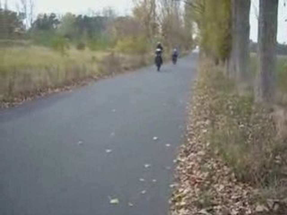 Wheelies