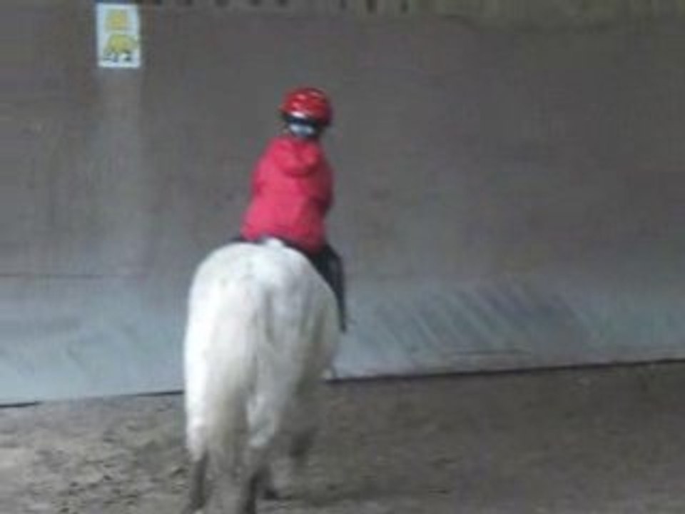 Poney Andreas 3